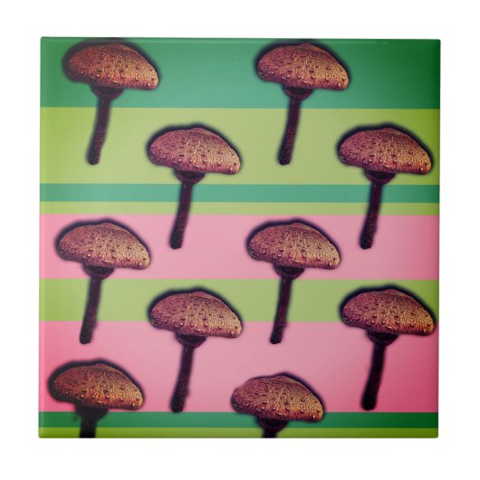 Mushrooms Muster Keramik Foto Tile Fliese (Vorderseite)