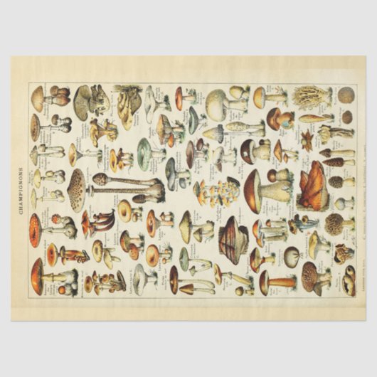 Mushrooms Vintages Dekoupage Tissue Paper Seidenpapier (Vorderseite)