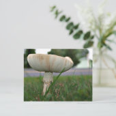 Mushrrom Postkarte (Stehend Vorderseite)