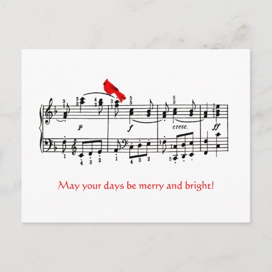 Music & Kardinal Red Bird Weihnachtskarte Feiertagspostkarte (Vorderseite)