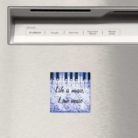 Music Live_ Magnet (In Situ (Geschirrspüler))