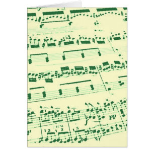 Music Major/Student/Lehrer