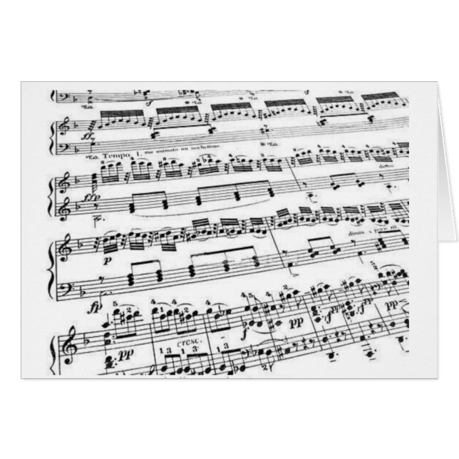 Music Major/Student/Lehrer (Vorderseite (Horizontal))