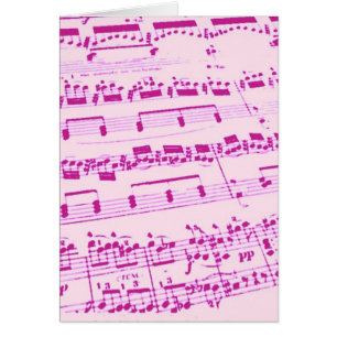 Music Major/Student/Lehrer