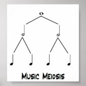 Music Meiose Poster (Vorne)