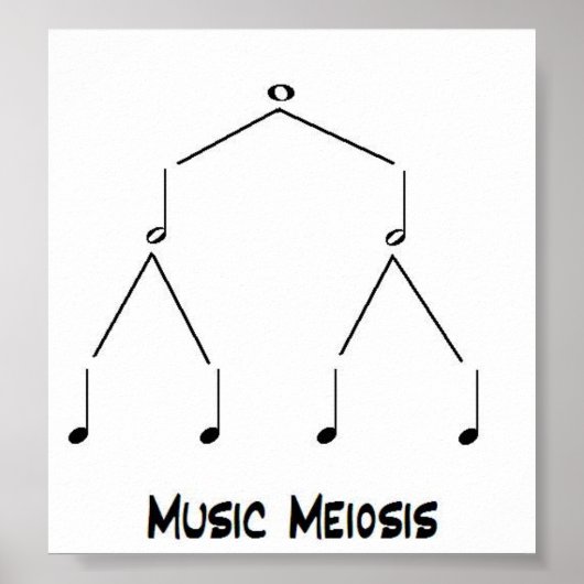 Music Meiose Poster (Vorne)