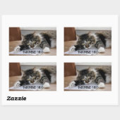 Musical Cat Incoming Hug Stickers (Blatt)