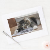 Musical Cat Incoming Hug Stickers (Umschlag)