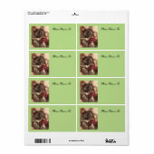 Musical Cat Label von RoseWrites (Vorne)