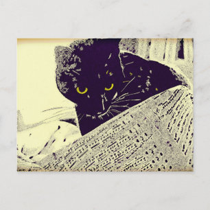 Musical Cat - Postcard Postkarte
