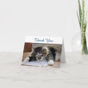 Musical Cat Vielen Dank Note Card Dankeskarte