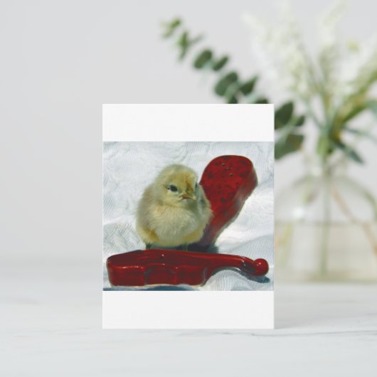 Musical Chick Postkarte (Stehend Vorderseite)