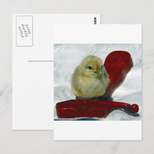 Musical Chick Postkarte (Vorne/Hinten)