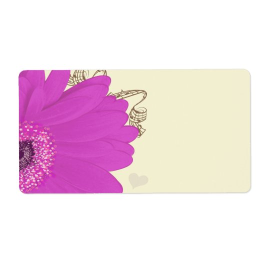 Musical Gerber Daisy (Vorne)