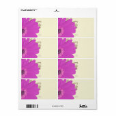 Musical Gerber Daisy (Vorne)