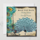 Musical Peacock Bird Cage Eggplant Save the Date (Vorderseite)