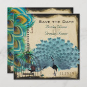 Musical Peacock Bird Cage Eggplant Save the Date (Vorne/Hinten)