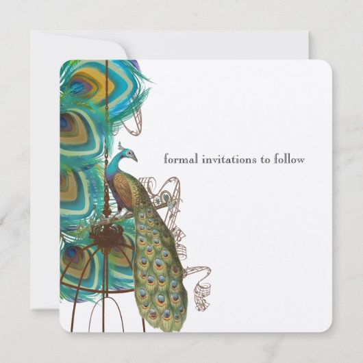 Musical Peacock Bird Cage Feather Save the Date (Rückseite)
