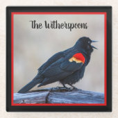 Musical Redwing Blackbird in einem Sumpf Glasuntersetzer (Vorderseite)