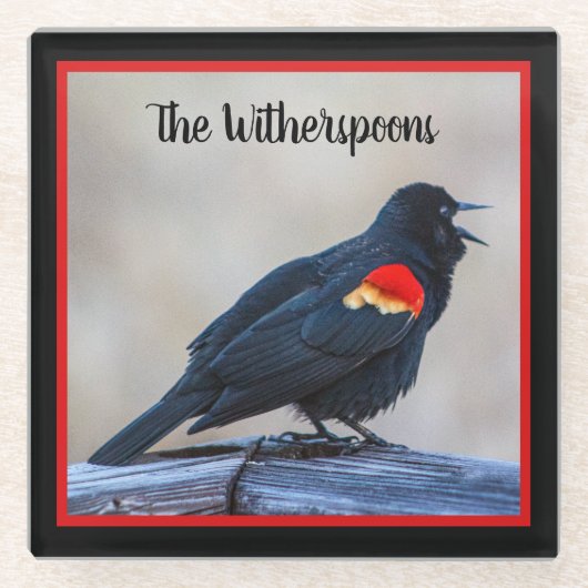 Musical Redwing Blackbird in einem Sumpf Glasuntersetzer (Vorderseite)