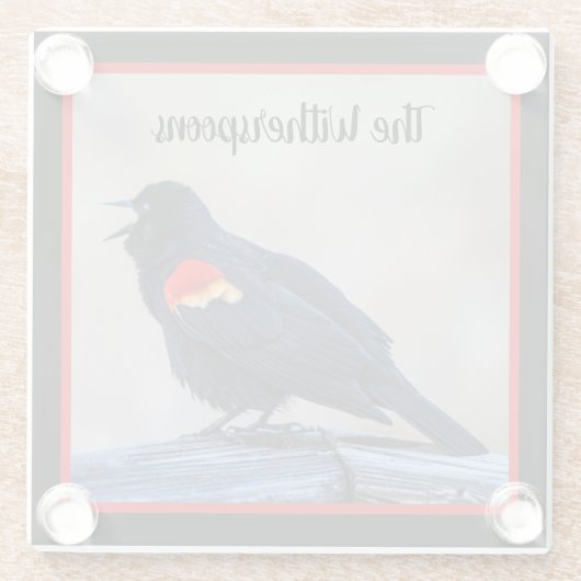 Musical Redwing Blackbird in einem Sumpf Glasuntersetzer (Rückseite)