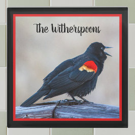 Musical Redwing Blackbird in einem Sumpf Glasuntersetzer