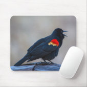 Musical Redwing Blackbird in einem Sumpf Mousepad (Mit Mouse)