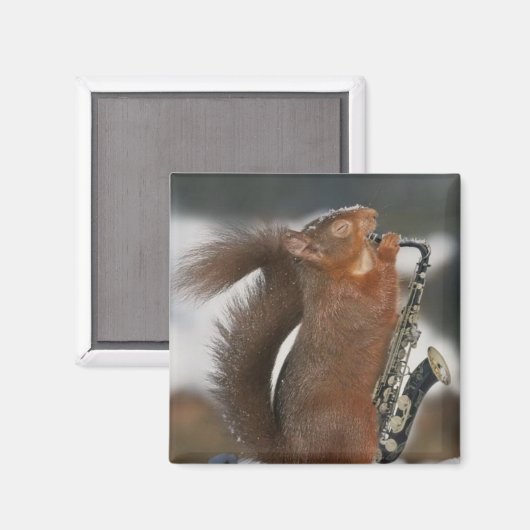 Musical Squirrel Magnet (Vorderseite/Rückseite)