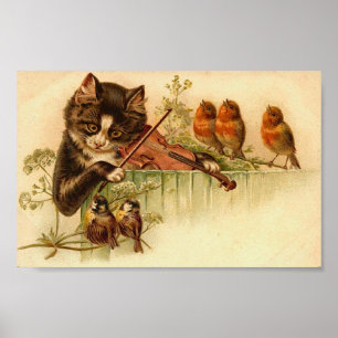 Musik für die Vögel, die Katze und die Vögel Poster