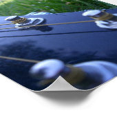 Musik in der Natur Poster (Ecke)