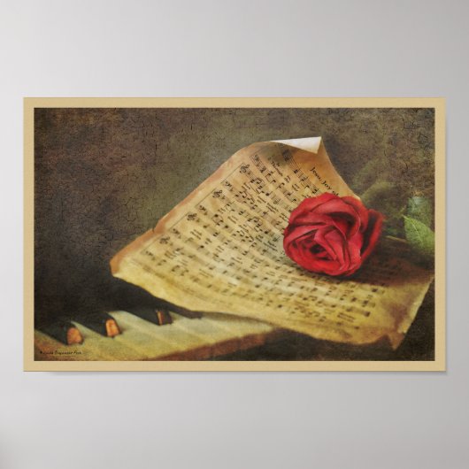 Musik ist Freude Poster (Vorne)