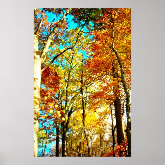 Musik ist Kunst-Rainbows Poster (Vorne)