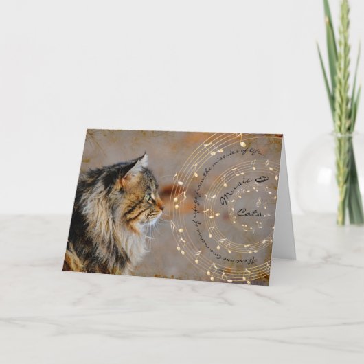 Musik und Katzen Karte (Vorderseite)