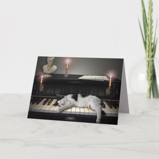 Musik und Katzen Karte (Vorderseite)