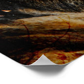 Musik und Katzen Kunstdrucke Poster (Ecke)