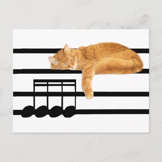 Musikalische Katze Postkarte (Vorderseite)