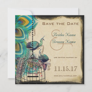 Musikalischer Pfau-Vogelkäfig Liebesvögel Save-the Save The Date