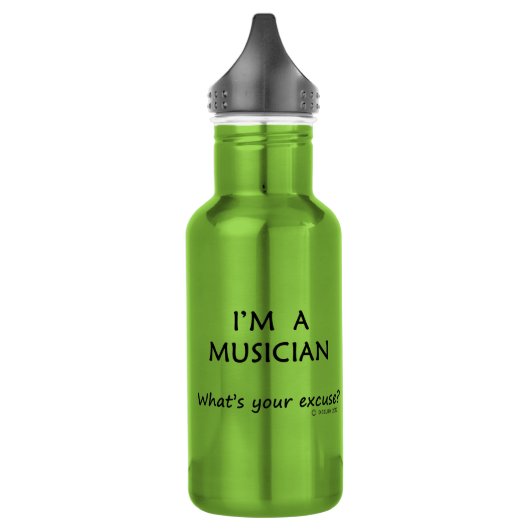 Musiker Entschuldigung Edelstahlflasche (Links)