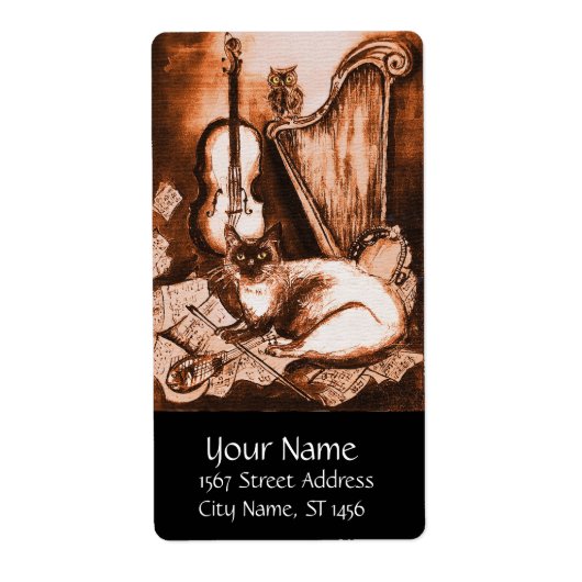 MUSIKKATZE, braun und weiß (Vorne)