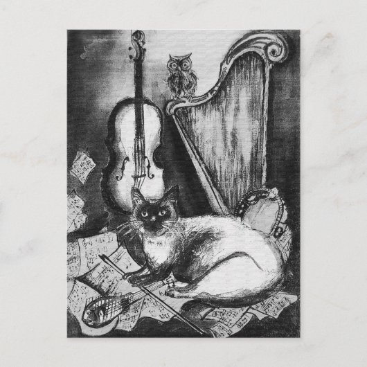 MUSIKKATZE, OWL, VIOLIN, HARP Schwarz-weiße Graumu Postkarte (Vorderseite)