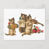 Musikkatzen Postkarte (Vorderseite)