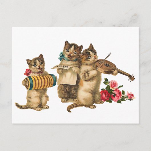 Musikkatzen Postkarte (Vorderseite)