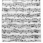 Musiknote Duschvorhang (Vorderseite)