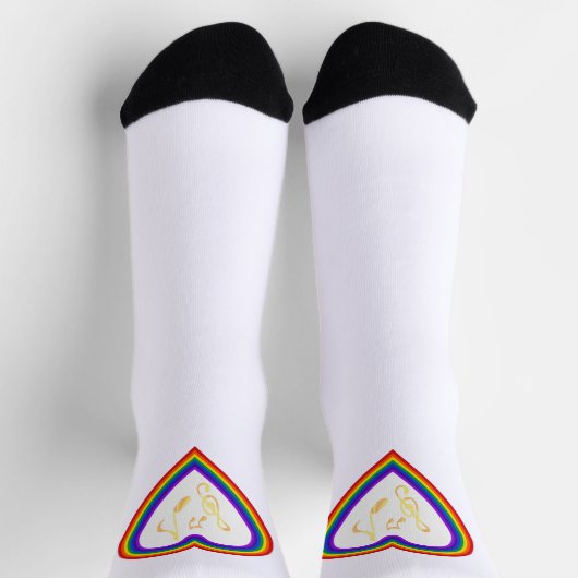 Musiknoten im Regenbogen, Crew Socken (Oben)