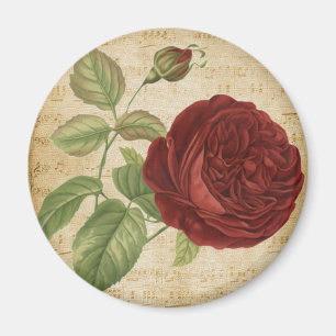 Musiknoten Parchment Rote Rosen Rose Vintag Magnet
