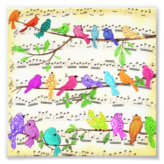 Musikvögel Poster (Vorne)