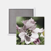 Musk in Afternoon Magnet (Vorderseite/Rückseite)