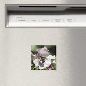 Musk in Afternoon Magnet (In Situ (Geschirrspüler))