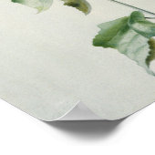 Musk Mallow, 18. Jahrhundert Poster (Ecke)