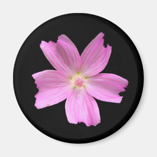 Musk-mallow-Magnet Magnet